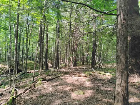 0 East Orchard Street Brattleboro VT 05301