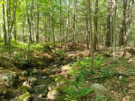 0 East Orchard Street Brattleboro VT 05301