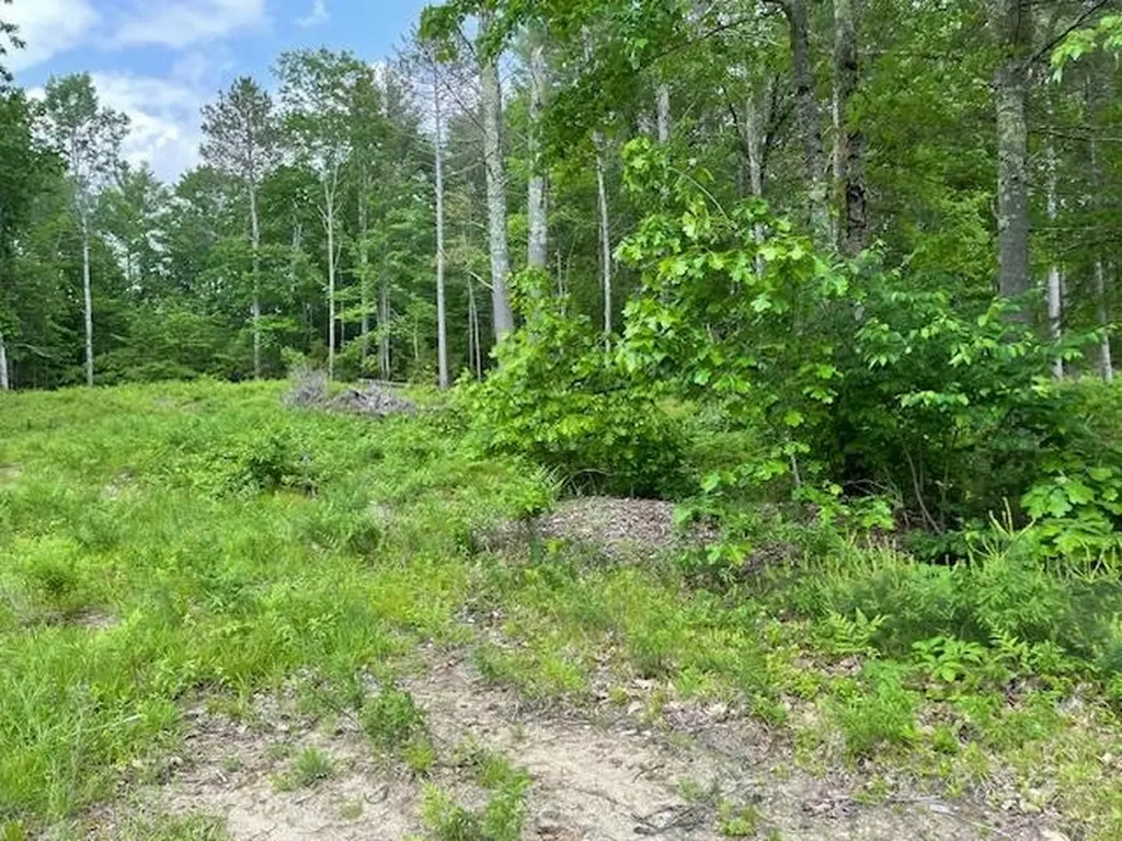 Lot 33 Blake Trail Tuftonboro NH 03816