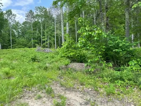 Lot 33 Blake Trail Tuftonboro NH 03816