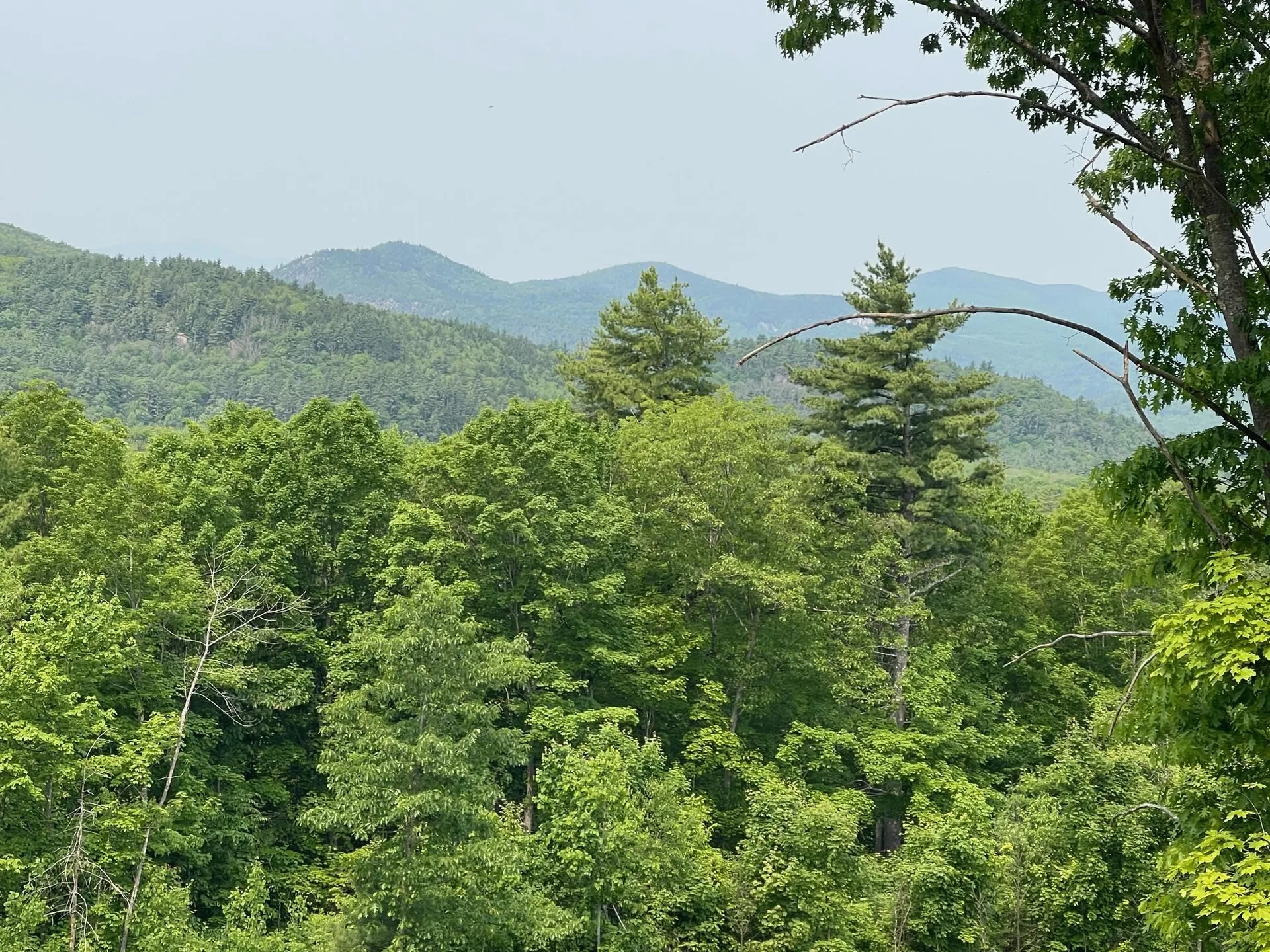 48 Merriman Forest Road Bartlett NH 03812