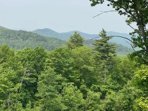 48 Merriman Forest Road Bartlett NH 03812