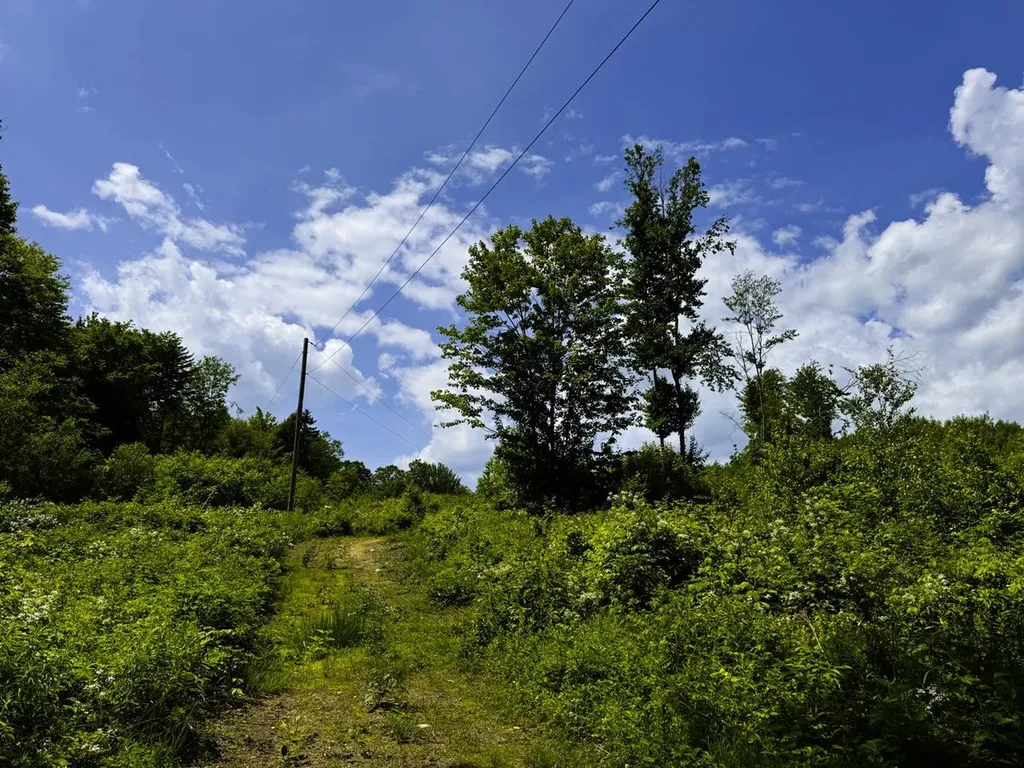 0 Lynburke Road Burke VT 05871