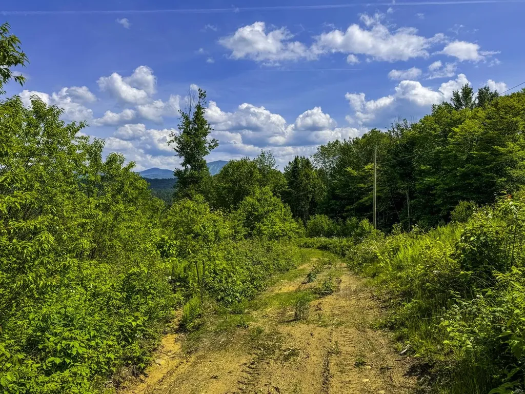 0 Lynburke Road Burke VT 05871