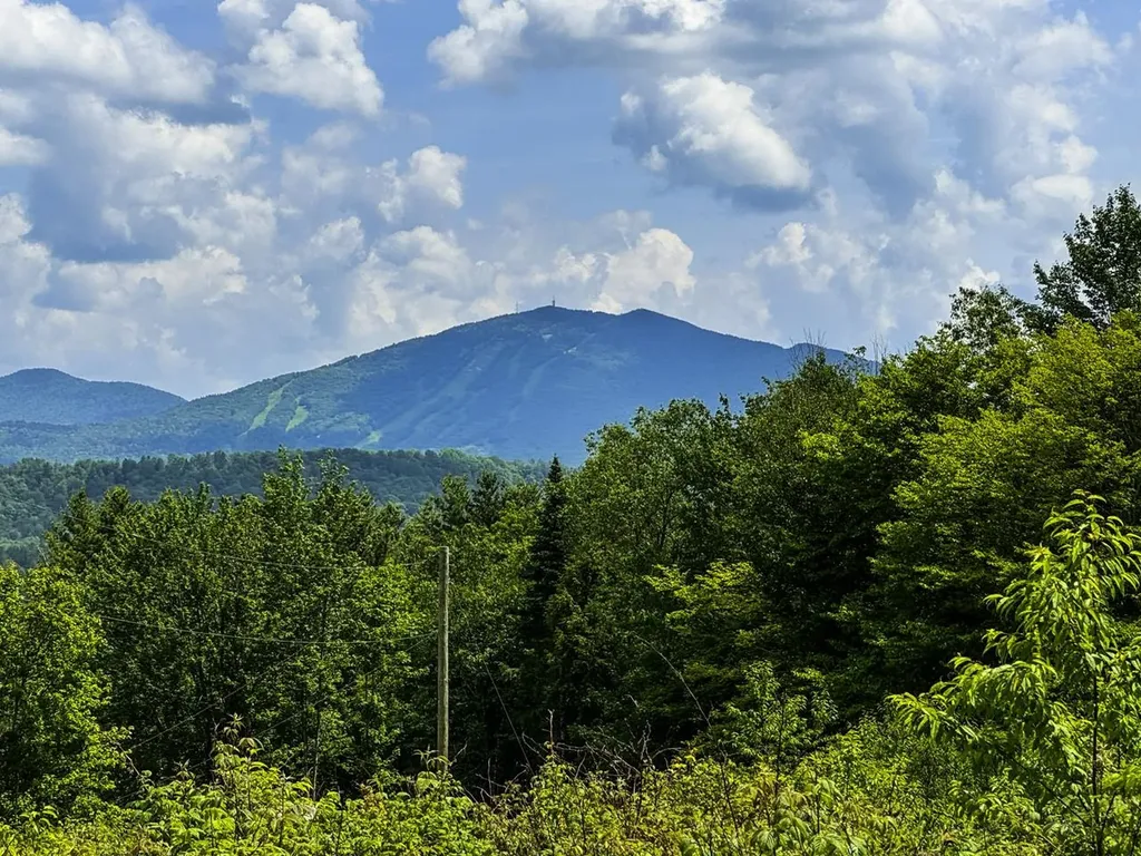 0 Lynburke Road Burke VT 05871