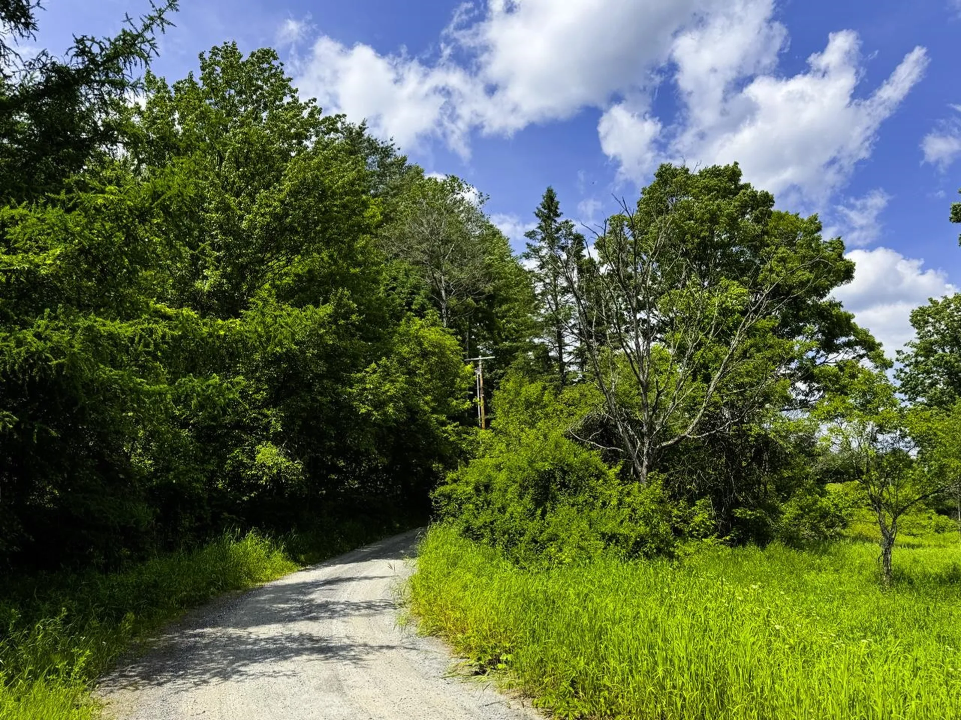 0 Lynburke Road Burke VT 05871