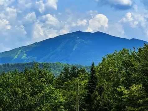 0 Lynburke Road Burke VT 05871