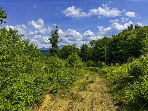 0 Lynburke Road Burke VT 05871