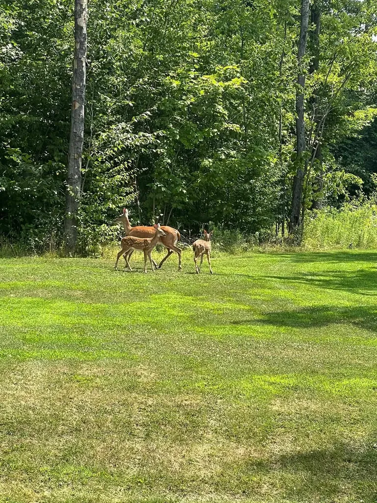 326 Dublin Road Jaffrey NH 03452