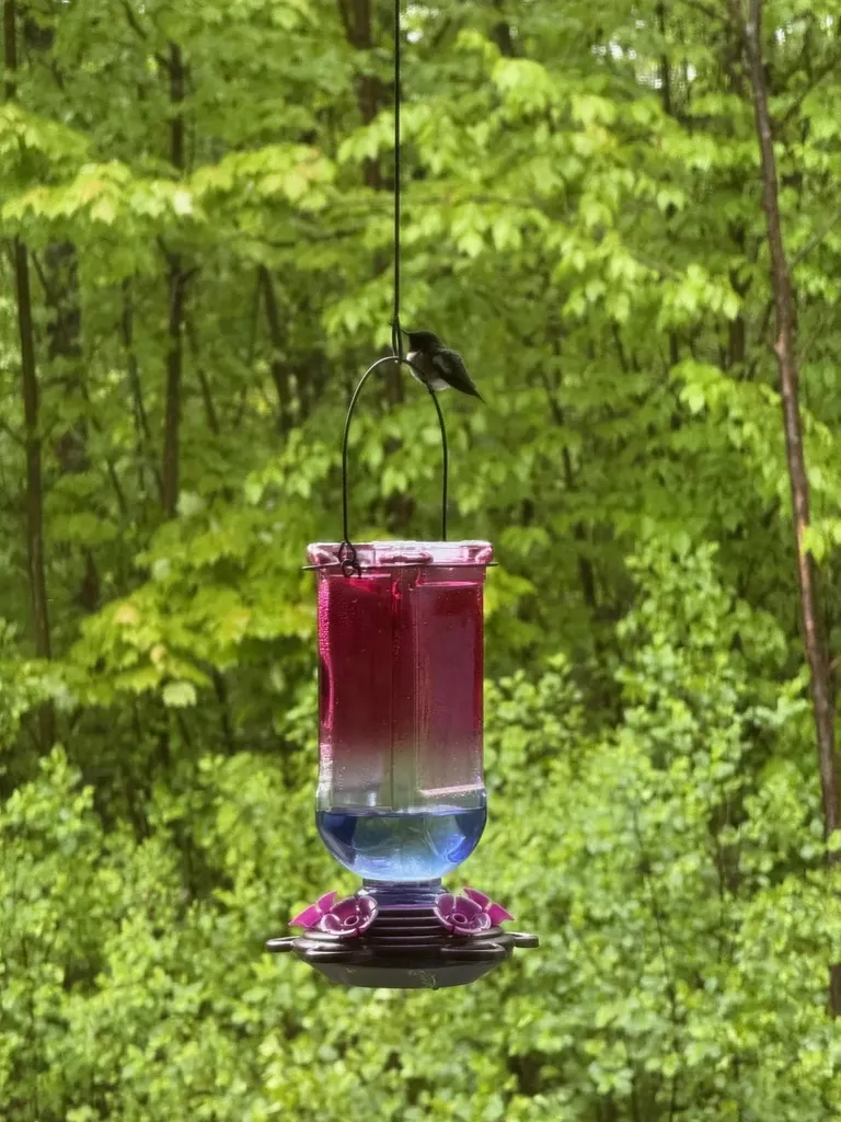 326 Dublin Road Jaffrey NH 03452