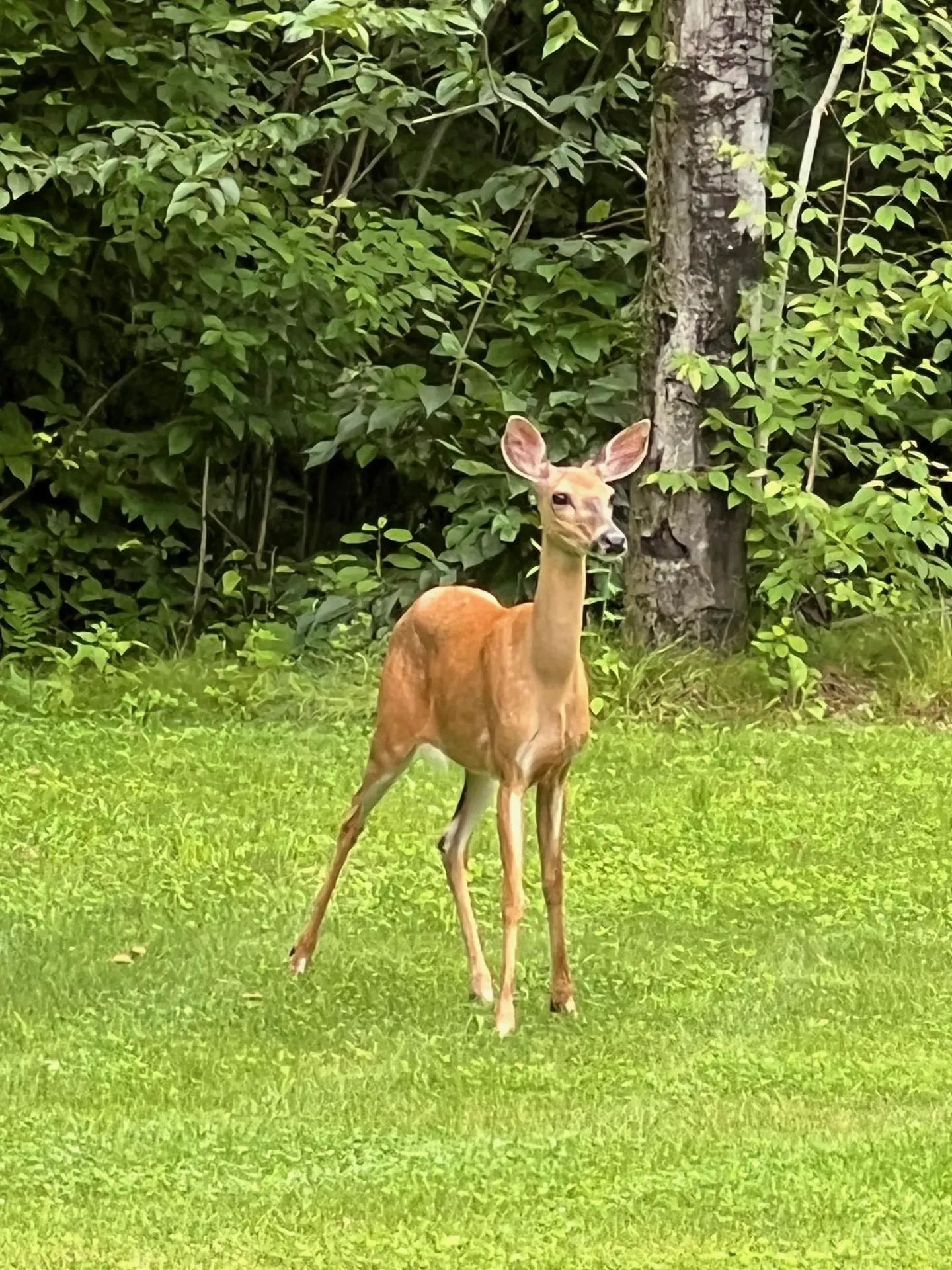 326 Dublin Road Jaffrey NH 03452