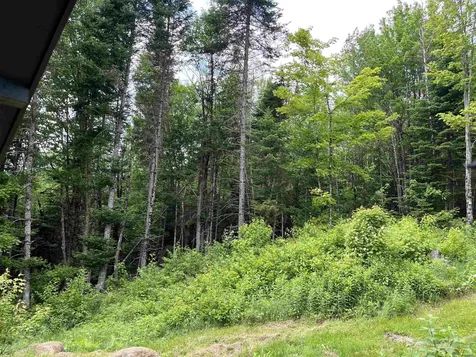2577 Center Pond Road Newark VT 05871