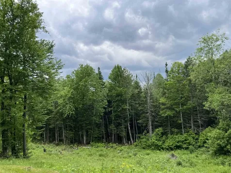 2577 Center Pond Road Newark VT 05871