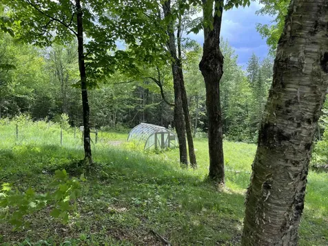 2577 Center Pond Road Newark VT 05871