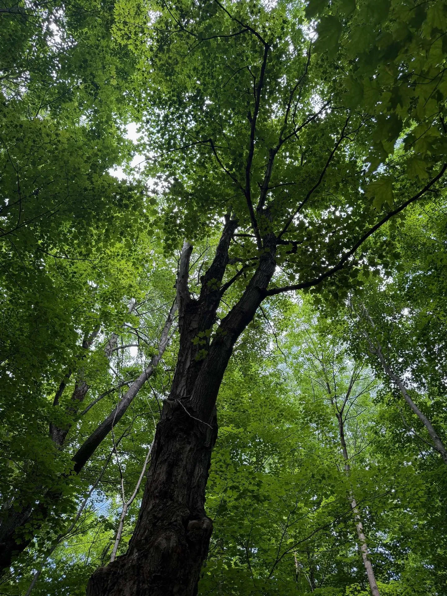 1281 Vt Route 101 Troy VT 05868