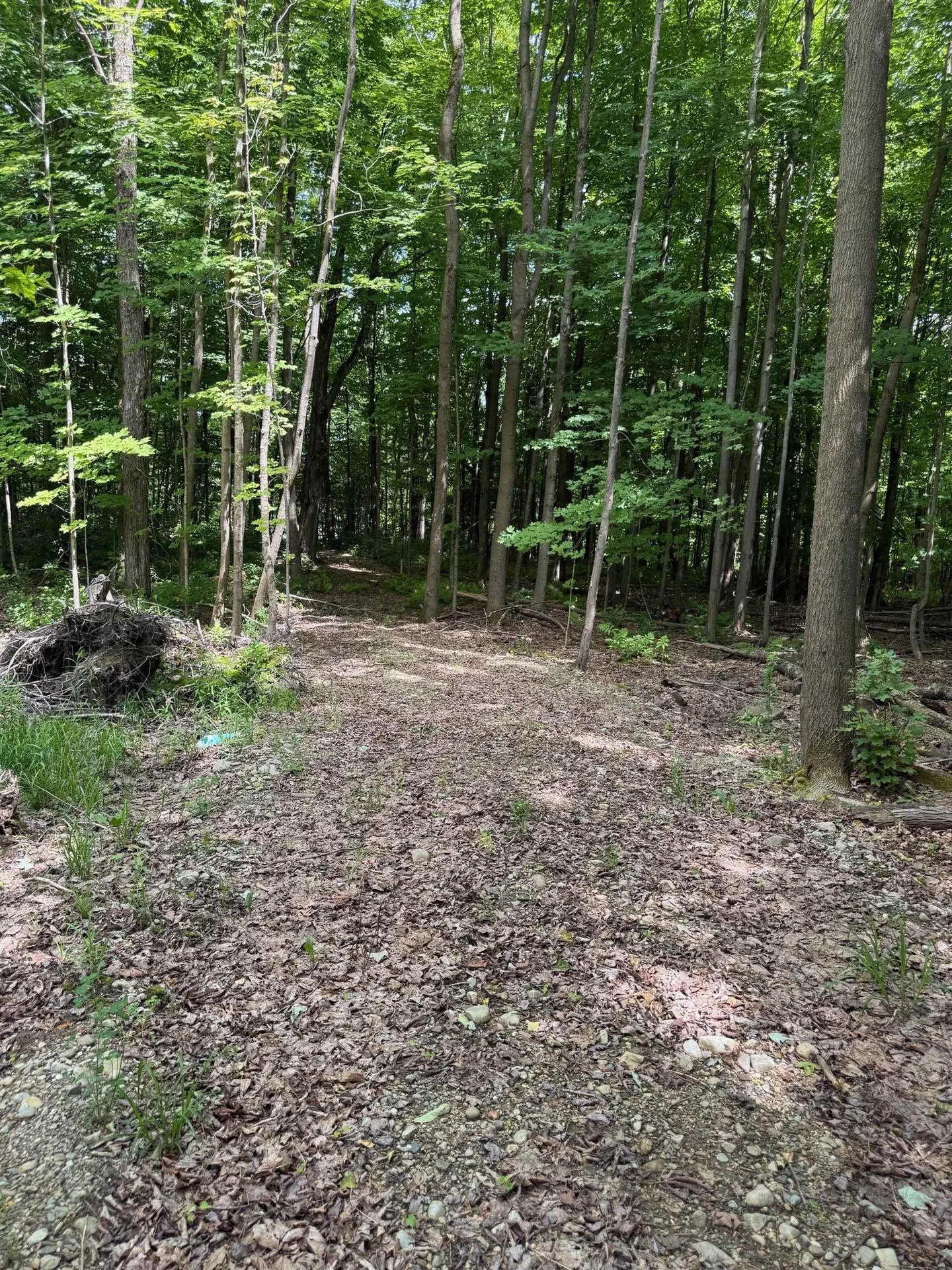 1281 Vt Route 101 Troy VT 05868