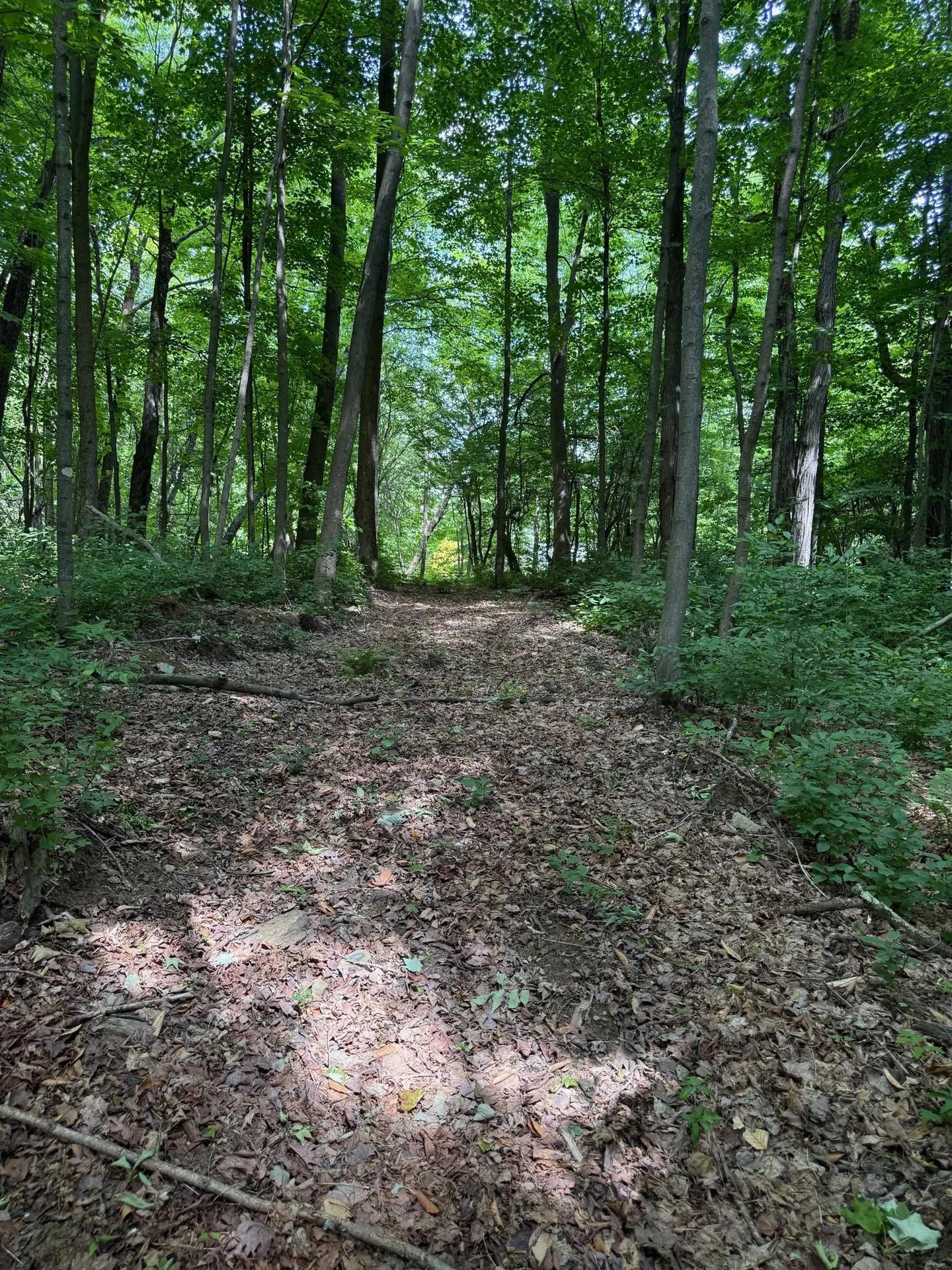 1281 Vt Route 101 Troy VT 05868