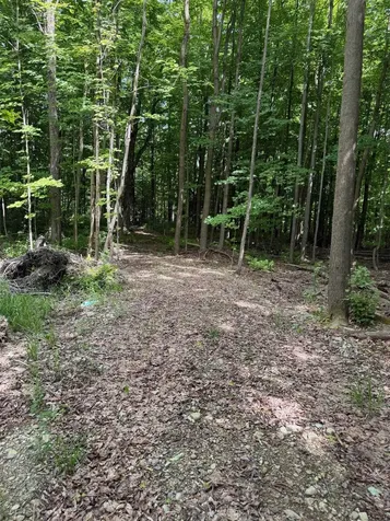 1281 Vt Route 101 Troy VT 05868