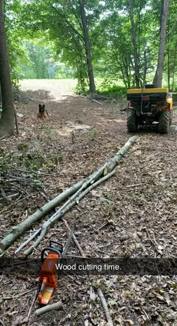 1281 Vt Route 101 Troy VT 05868