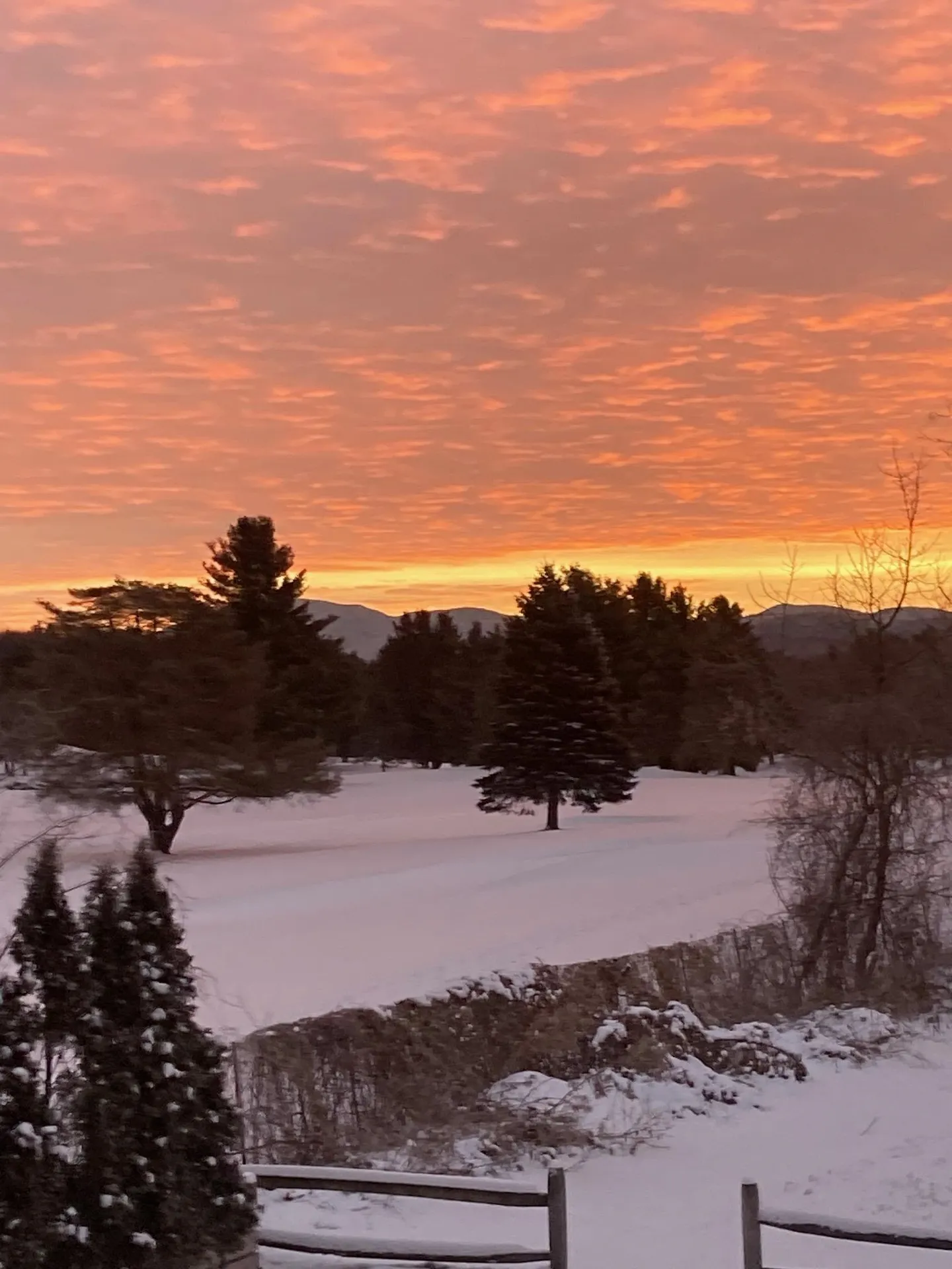 236 Lefebvre Lane Williston VT 05495