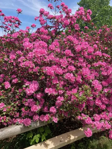 236 Lefebvre Lane Williston VT 05495