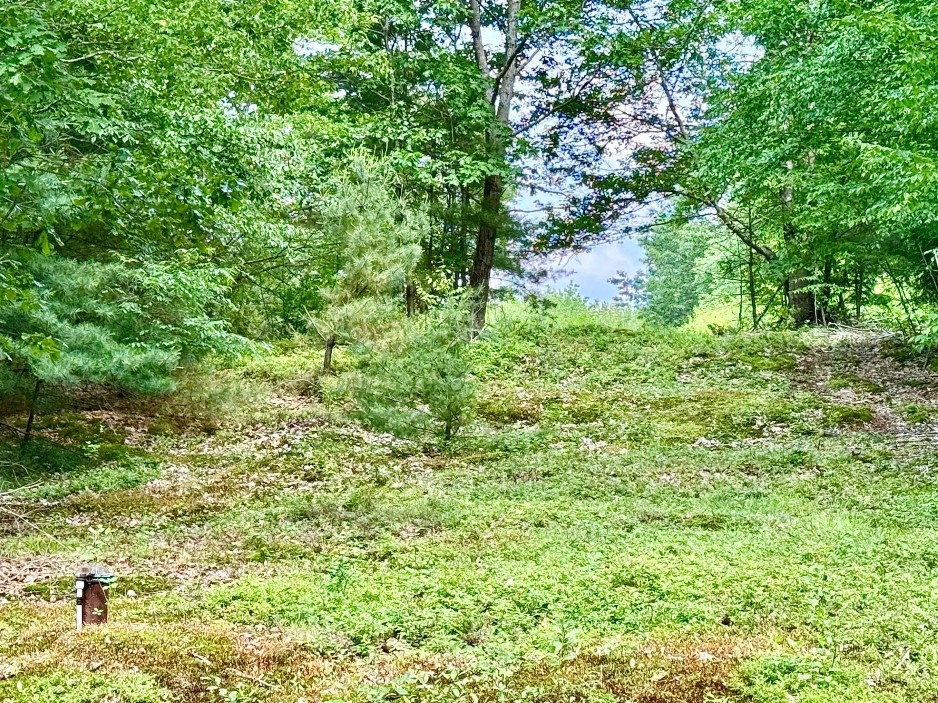 263a Welcome Hill Road Chesterfield NH 03466