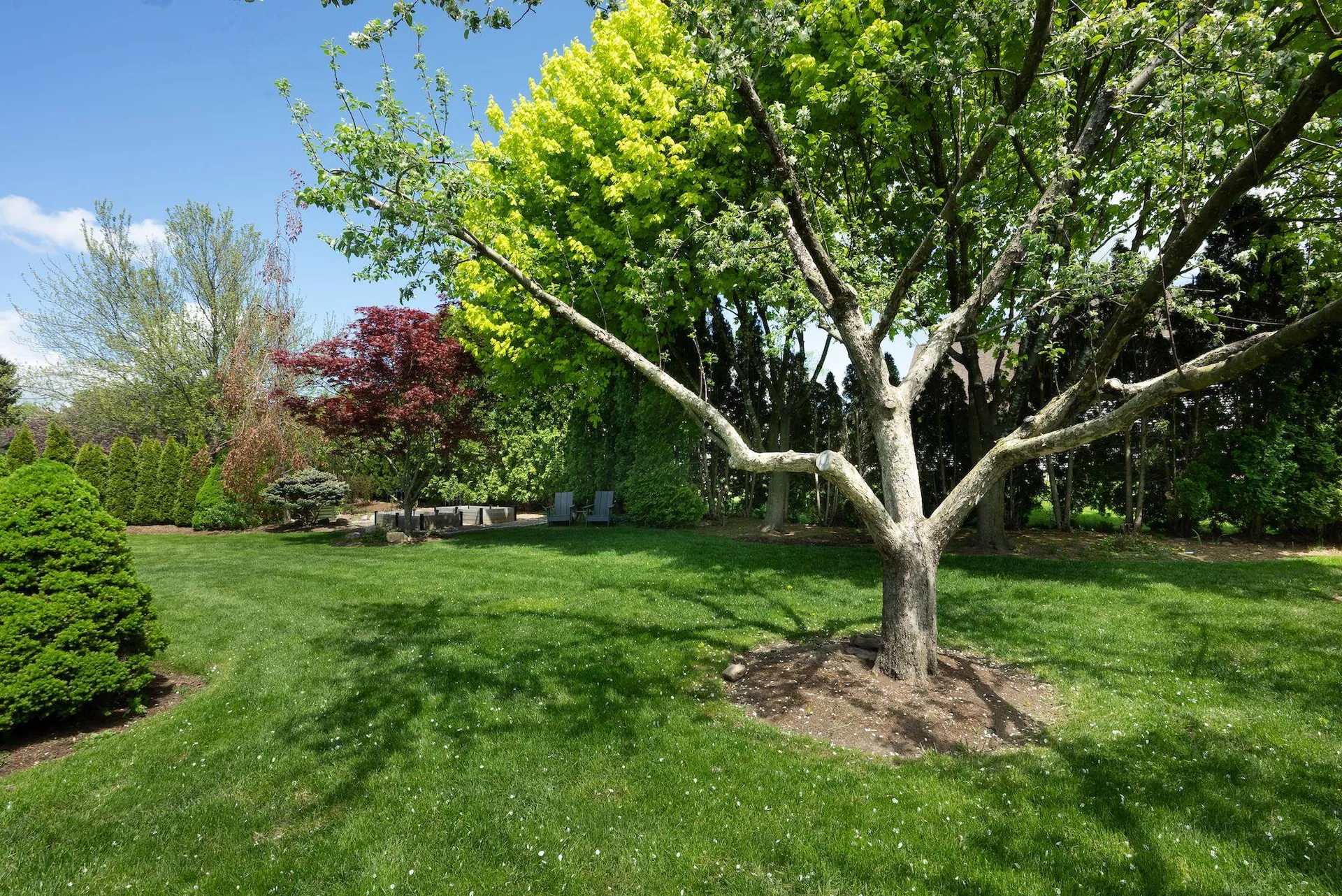 16 Pinnacle Drive South Burlington VT 05403