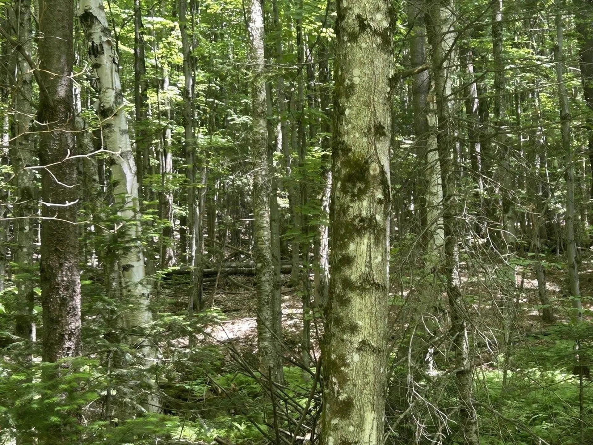 0 Rushford Valley Road Montgomery VT 05471