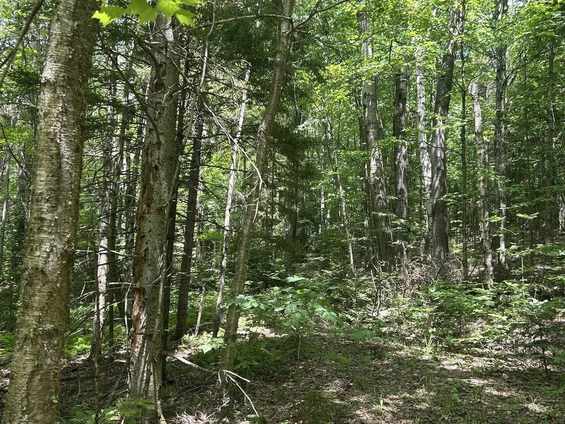 0 Rushford Valley Road Montgomery VT 05471