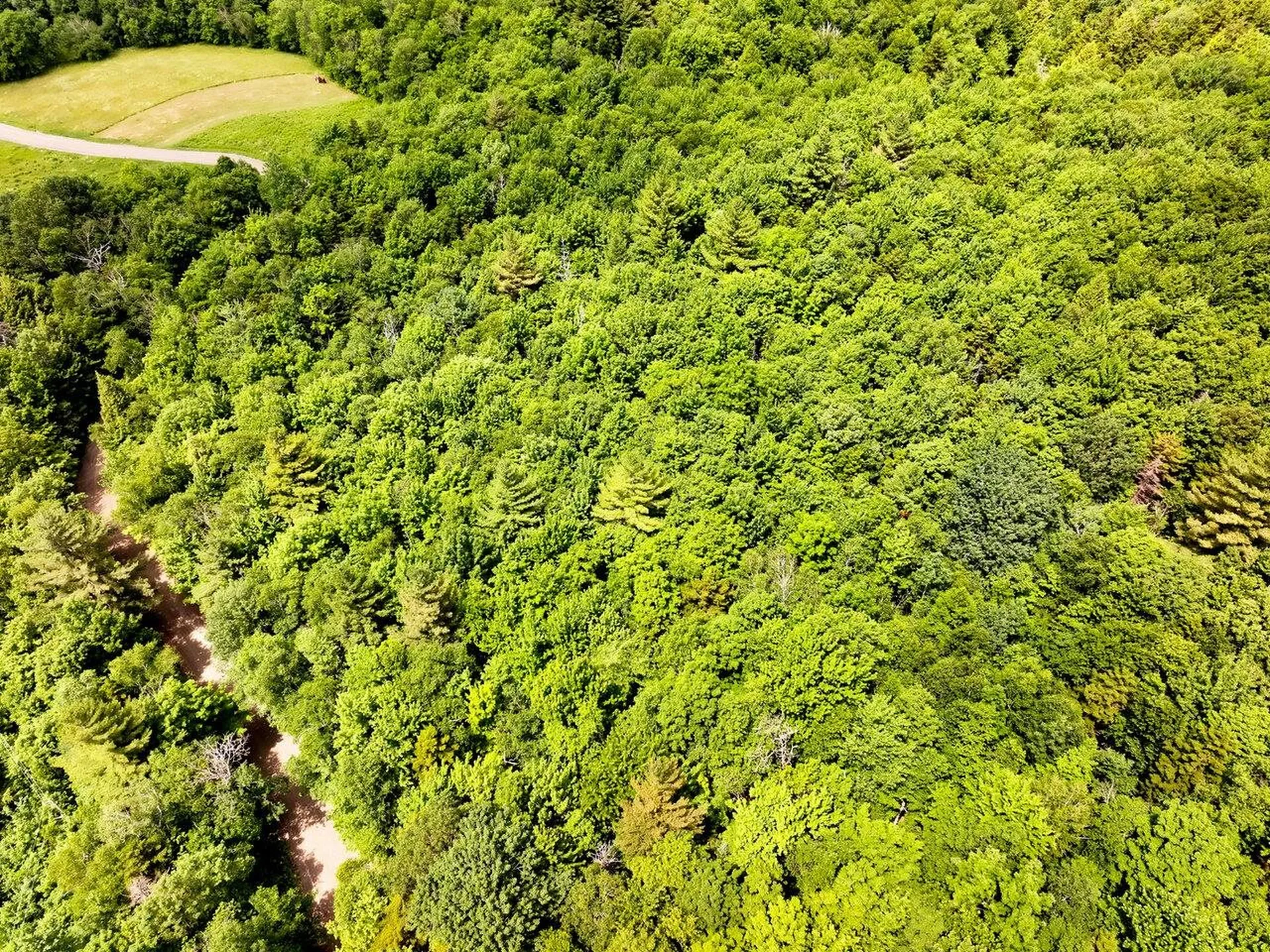 0 Rushford Valley Road Montgomery VT 05471