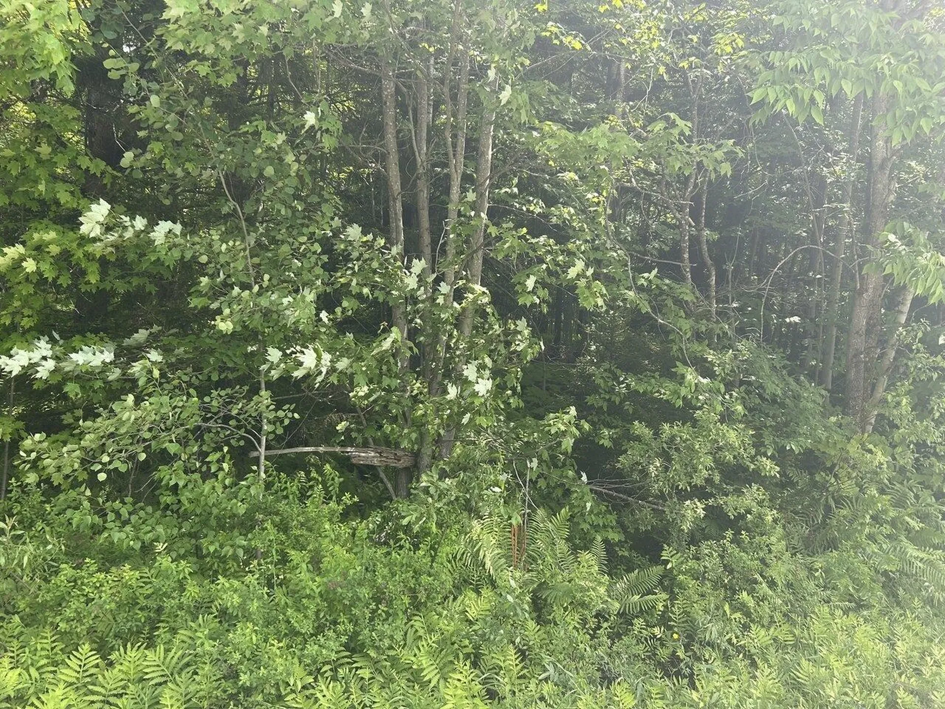 0 Rushford Valley Road Montgomery VT 05471