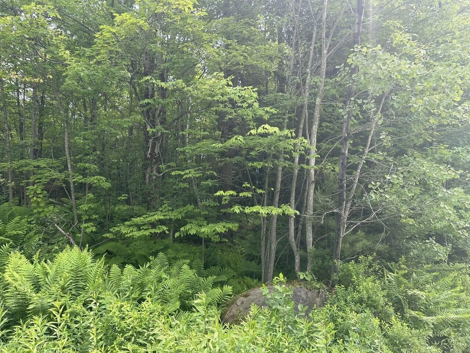 0 Rushford Valley Road Montgomery VT 05471