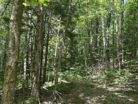 0 Rushford Valley Road Montgomery VT 05471