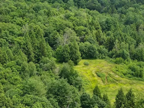 0 Rushford Valley Road Montgomery VT 05471