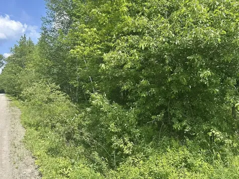 0 Rushford Valley Road Montgomery VT 05471