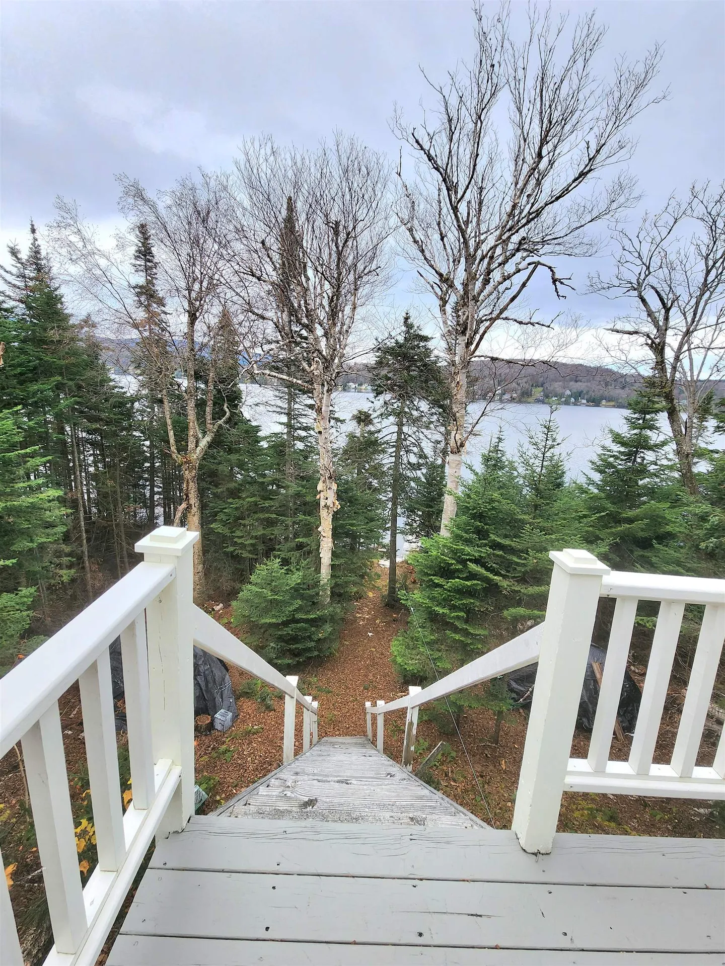 312 Roy Road Stewartstown NH 03576