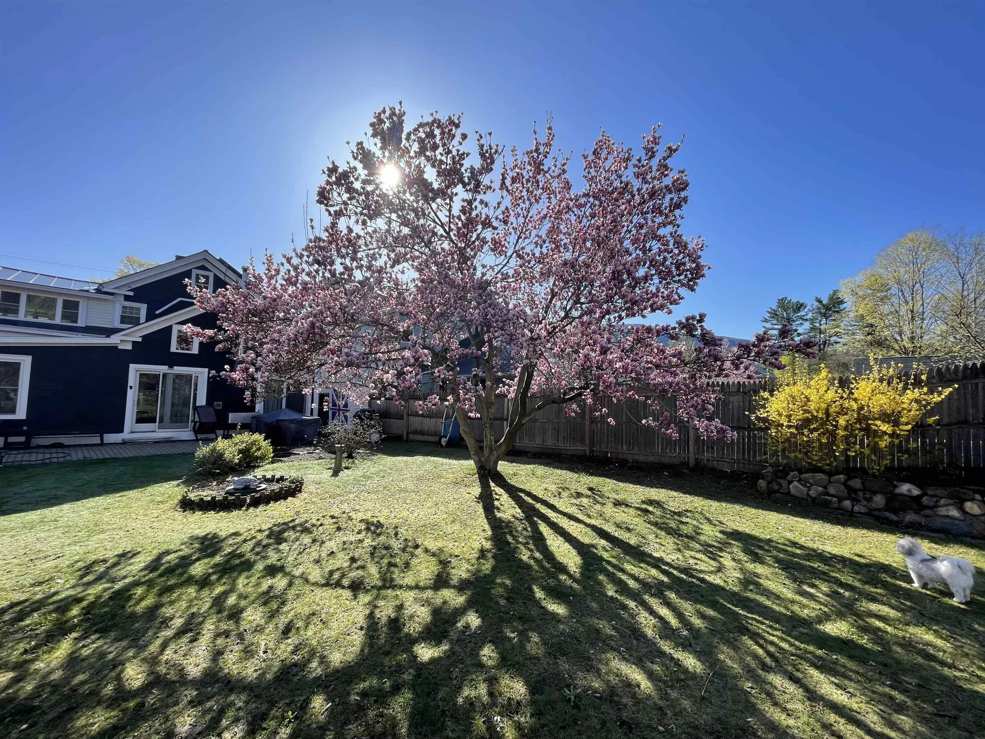 30 South Main Street Danby VT 05739