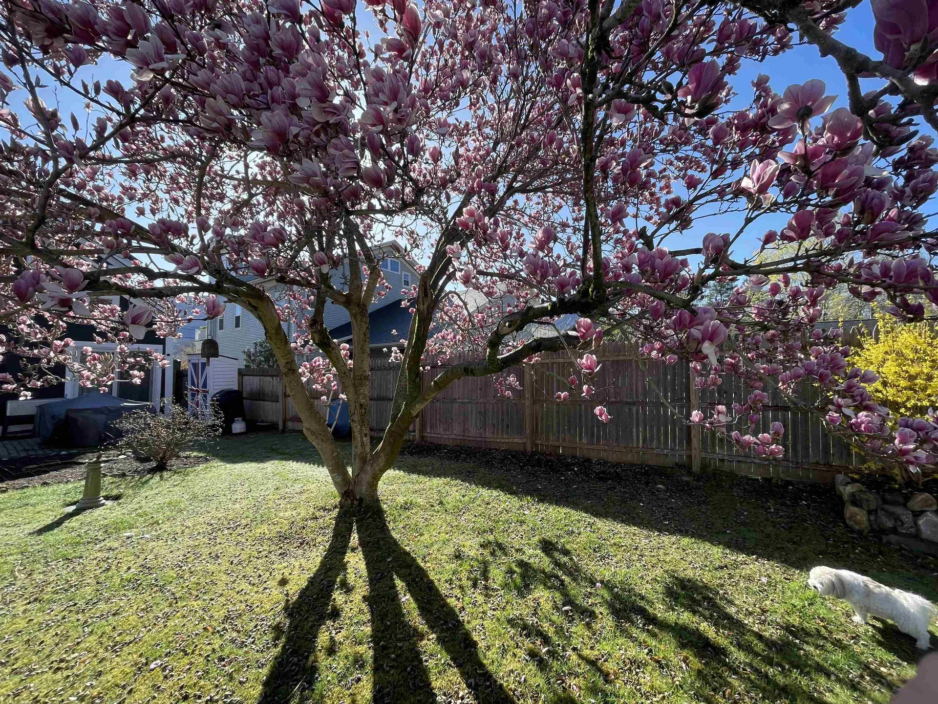 30 South Main Street Danby VT 05739