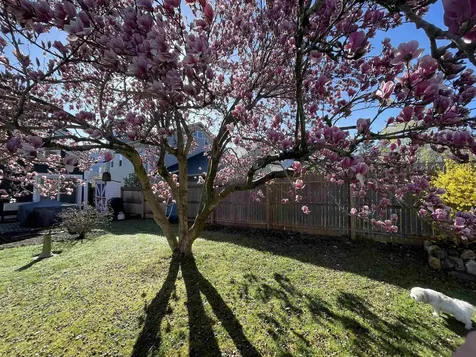 30 South Main Street Danby VT 05739