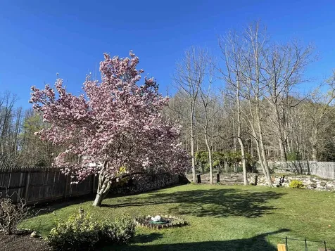 30 South Main Street Danby VT 05739