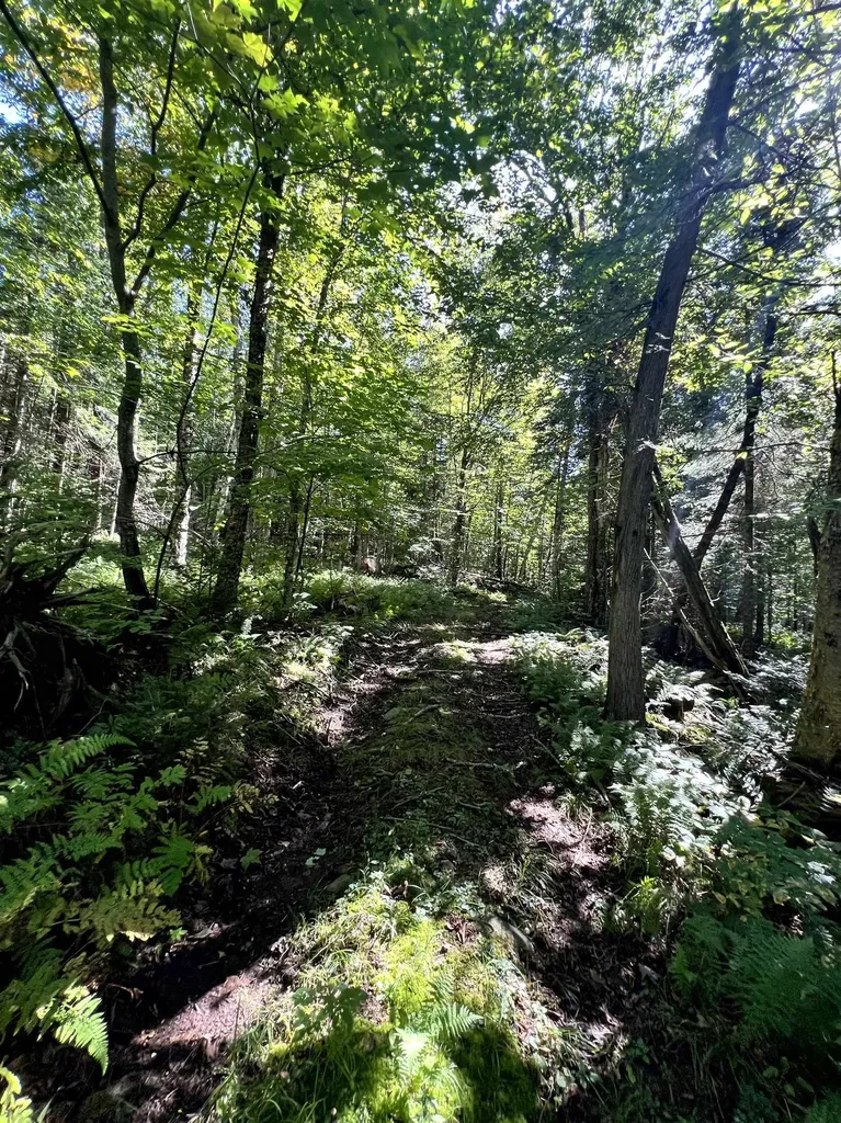 412 Boulder Drive Derby VT 05829