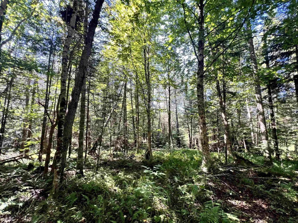 412 Boulder Drive Derby VT 05829