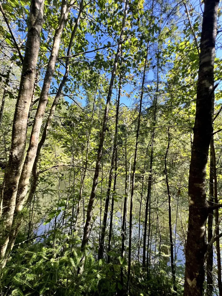 412 Boulder Drive Derby VT 05829