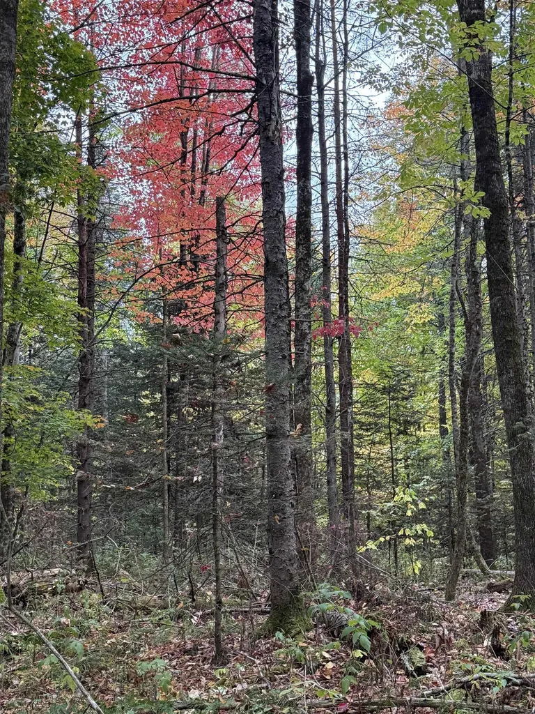 412 Boulder Drive Derby VT 05829