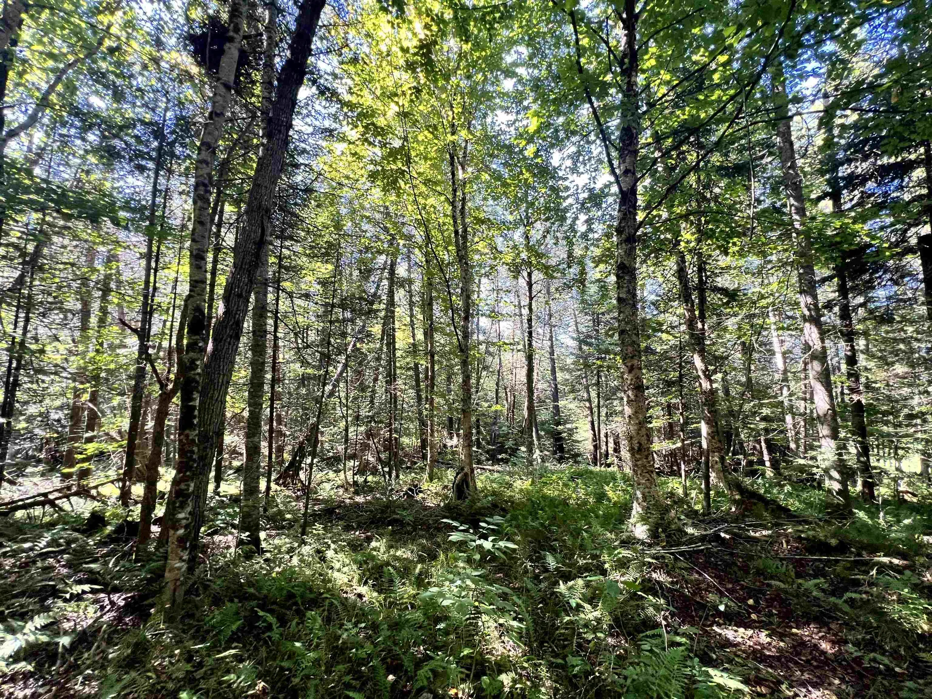 412 Boulder Drive Derby VT 05829