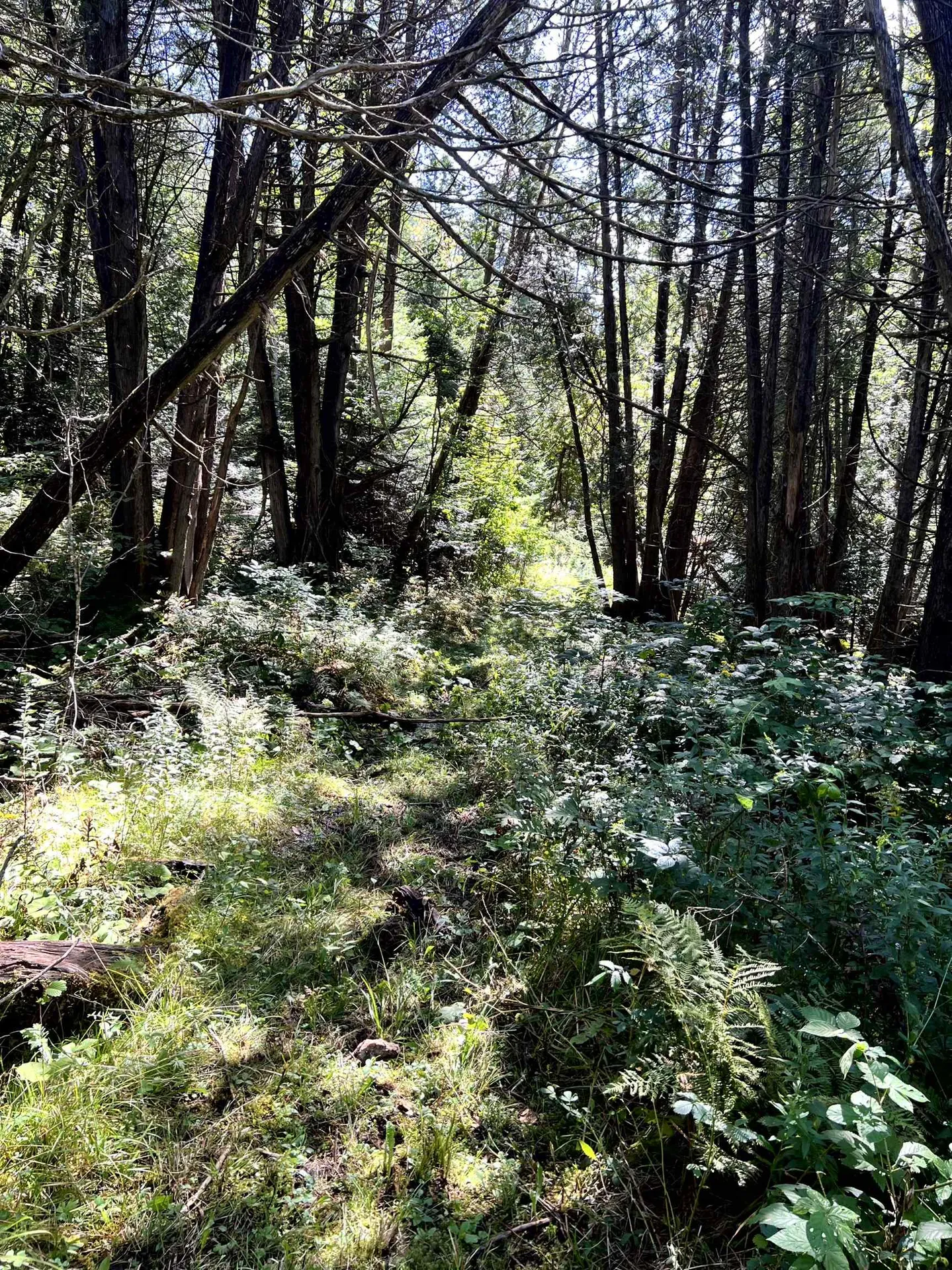 412 Boulder Drive Derby VT 05829