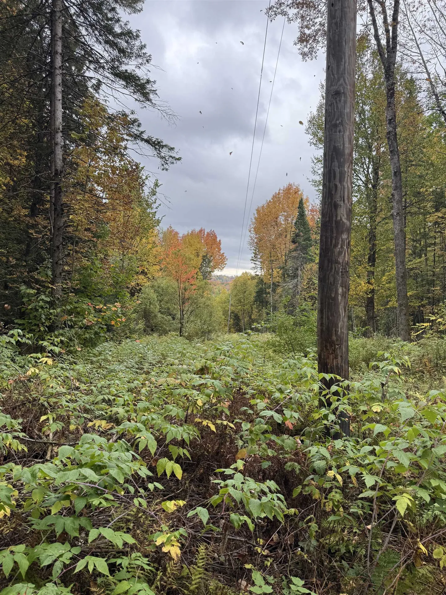 412 Boulder Drive Derby VT 05829