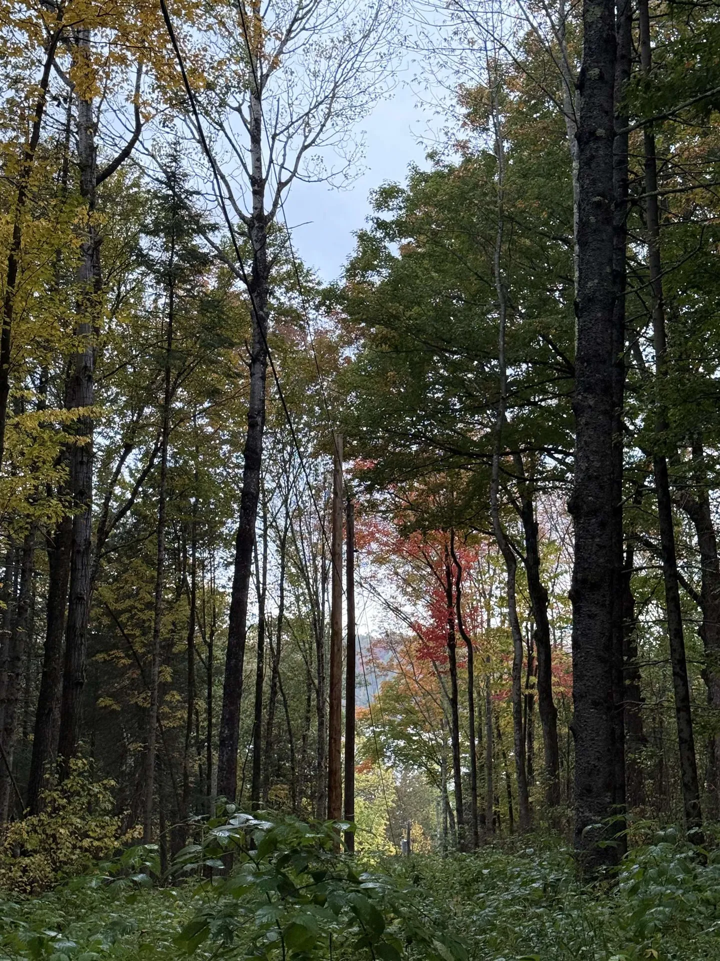 412 Boulder Drive Derby VT 05829