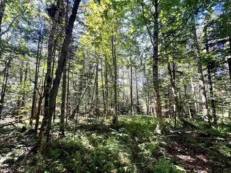 412 Boulder Drive Derby VT 05829