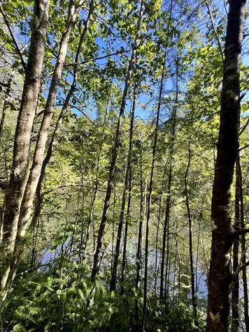 412 Boulder Drive Derby VT 05829